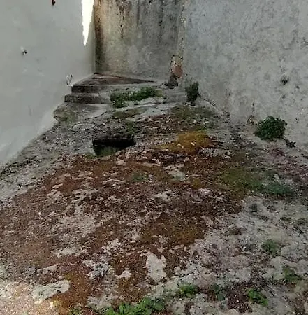 Arte E Ospitalita - *