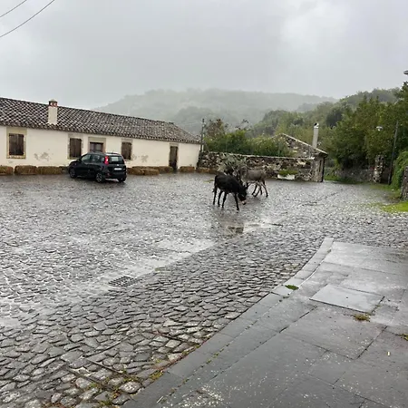 Arte E Ospitalita -
