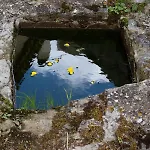 Hostel Arte E Ospitalita - *