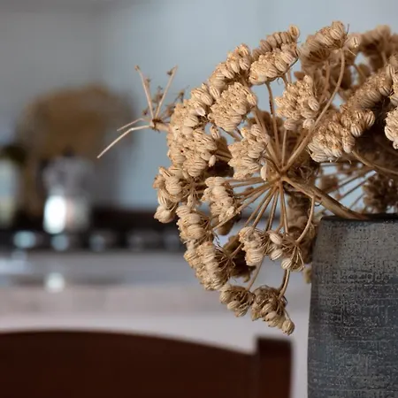 Arte E Ospitalita - بيت شباب